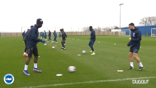 Brighton train ahead of Leicester City clash